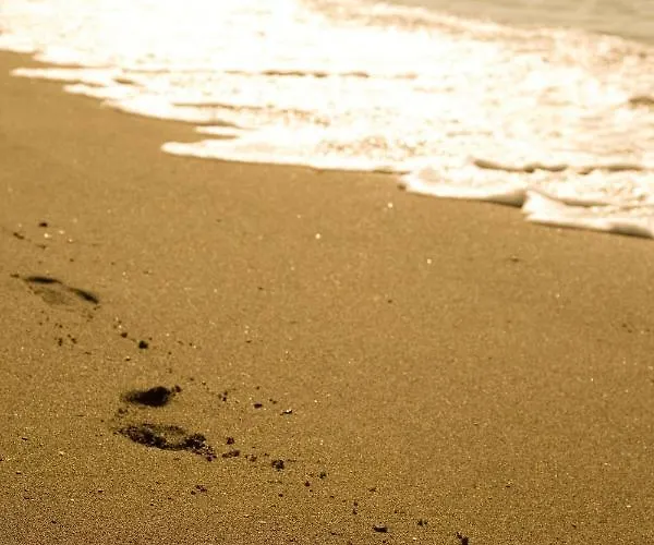 公寓 Appt 401-3-bed-heaven Beach-paseo-all Year Heated Pool-free Bikes