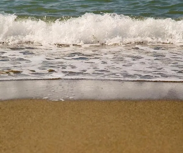 公寓 Appt 401-3-bed-heaven Beach-paseo-all Year Heated Pool-free Bikes 埃斯特波纳