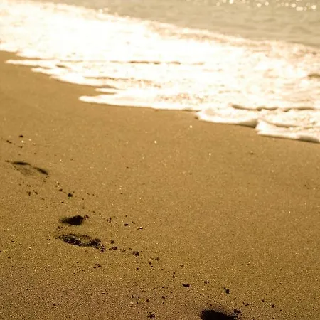 Апартаменты Appt 401-3-bed-heaven Beach-paseo-all Year Heated Pool-free Bikes