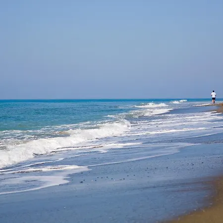Appt 401-3-bed-heaven Beach-paseo-all Year Heated Pool-free Bikes Appartement *