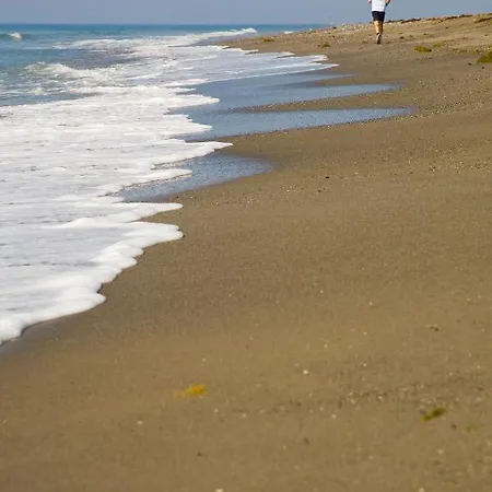 Appt 401-3-bed-heaven Beach-paseo-all Year Heated Pool-free Bikes 에스테포나